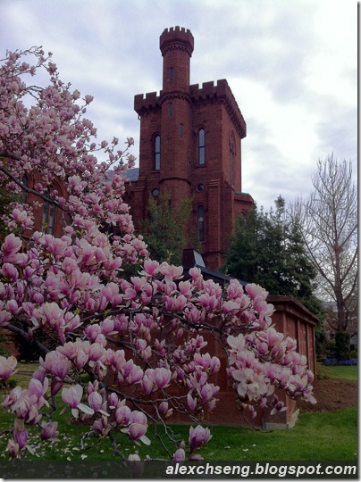 Down Memory Lane US2011 Enid A. Haupt Garden
